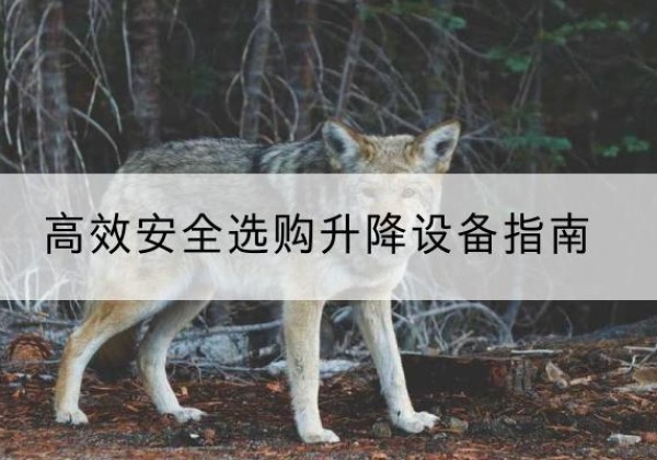铁岭升降货梯厂家推荐-*安全选购升降设备指南