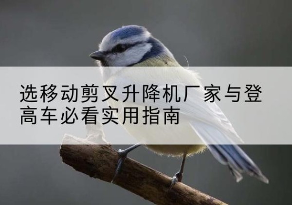 铁岭电动升降机厂家-选移动剪叉升降机厂家与登高车必看实用指南